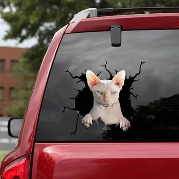 Наклейка Sphynx Cat - подходит для автомобилей, Окон, ноутбуков и любых гладких поверхностей, Наклейки Sphynx Cat, Индивидуальные Наклейки для Кошек, Персонализированные Наклейки St