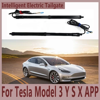 Водонепроницаемый Электронный Автомобиль с Электроприводом Задней Двери, Модифицированный Автоматический Подъем Для Tesla Model 3 Y S X APP Control Car Accssesories